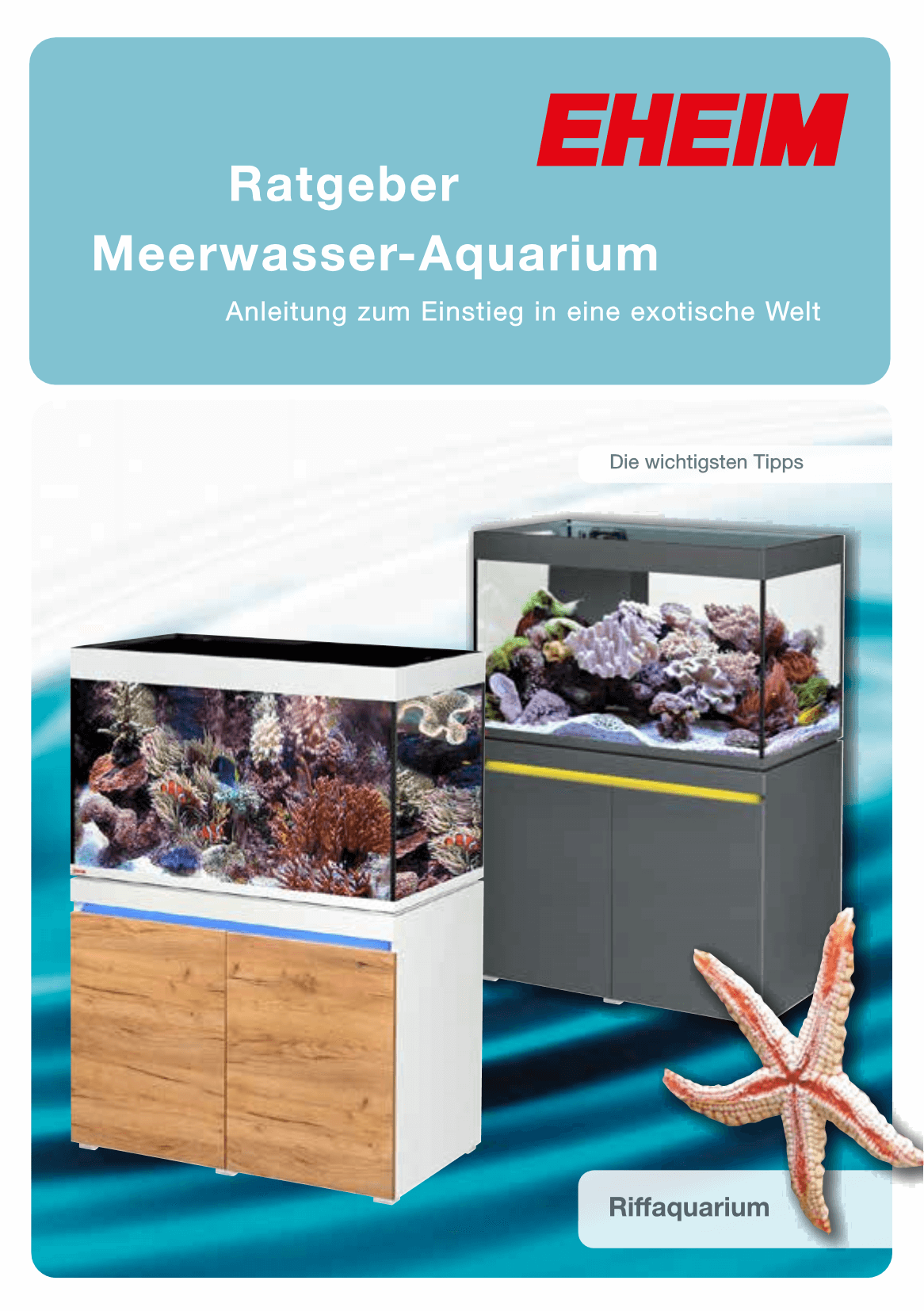 Ratgeber Licht im Aquarium