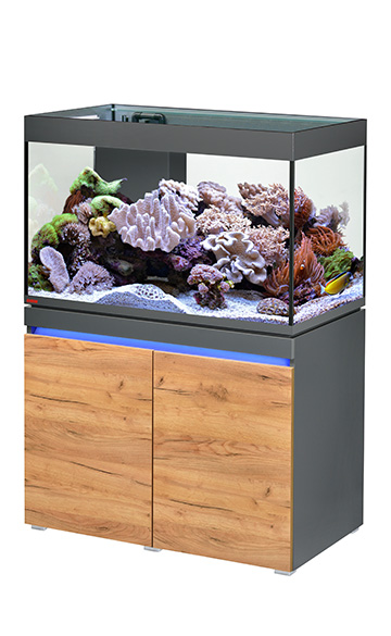 Incpiria_330_reef_graphit_nature